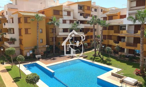 Appartement / flat - Lange Termijn Verhuur - Punta Prima - Punta Prima