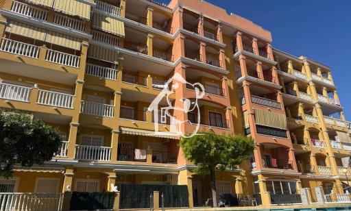 Appartement / flat - Lange Termijn Verhuur - Torrevieja - Nueva Torrevieja - Aguas Nuevas