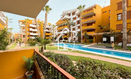 Appartement - Location - Punta Prima - AP0560
