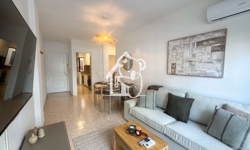 Appartement - Location - Torrevieja - Centro