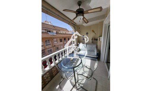 Appartement - Location - Torrevieja - Torrevieja Centro