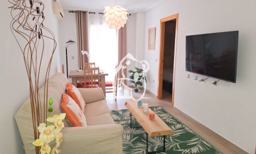 Appartement - Location - Torrevieja - Torrevieja