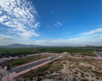Арендовать - Квартира / квартира - Algorfa