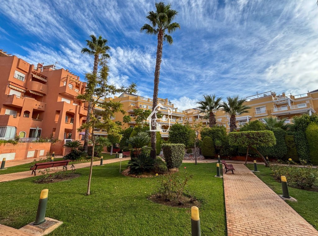 Арендовать - Квартира / квартира - Dehesa de Campoamor