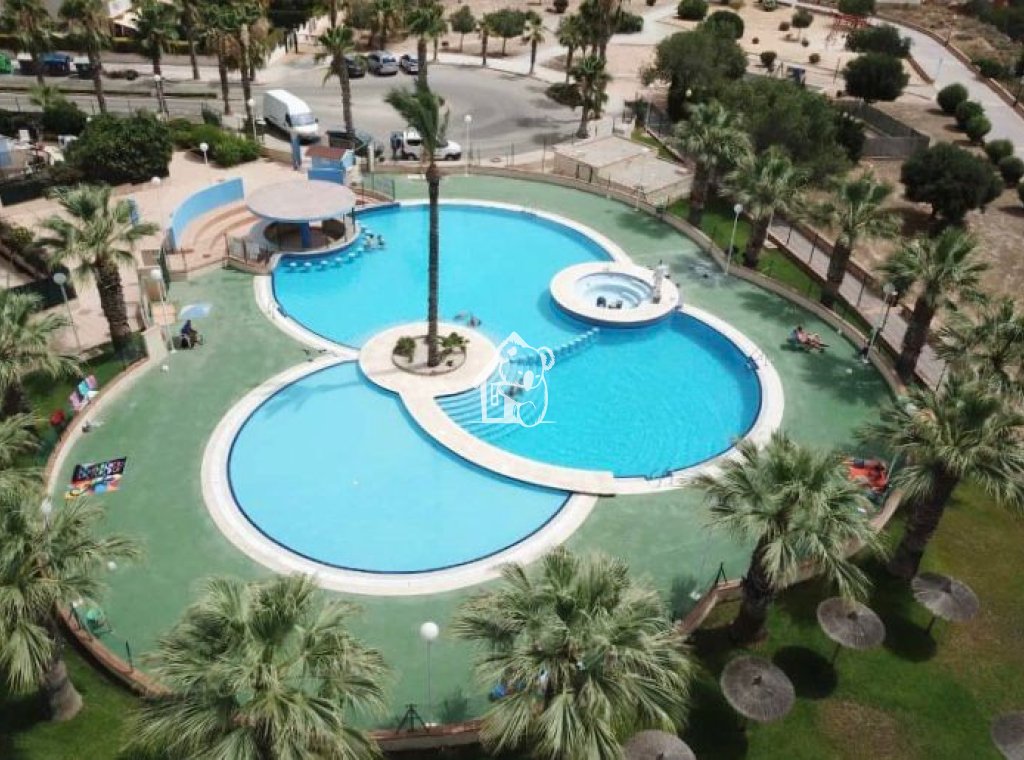 Арендовать - Квартира / квартира - Orihuela Costa - Cabo roig - La Zenia