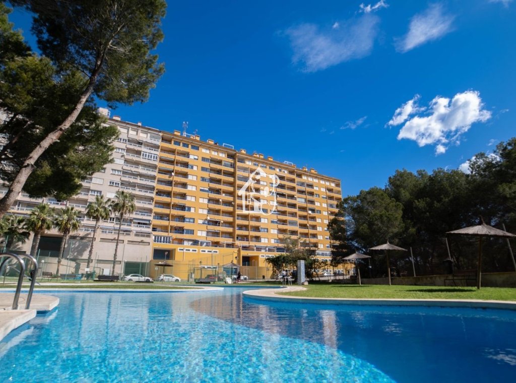 Арендовать - Квартира / квартира - Orihuela Costa - Dehesa de campoamor