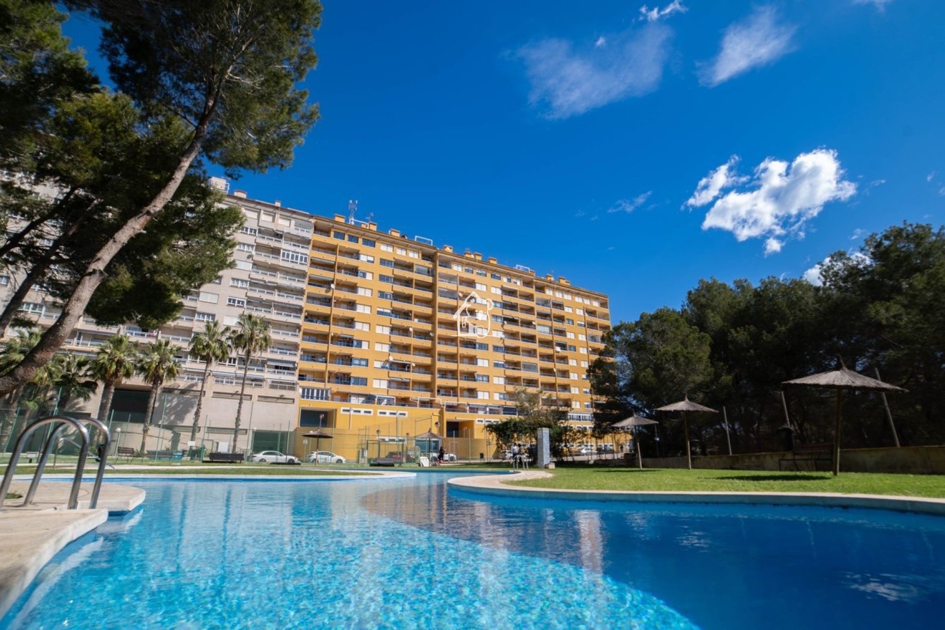 Арендовать - Квартира / квартира - Orihuela Costa - Dehesa de campoamor