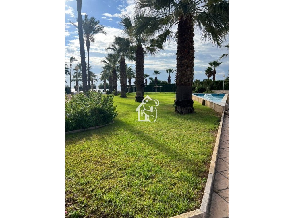 Арендовать - Квартира / квартира - Orihuela Costa - Dehesa de campoamor