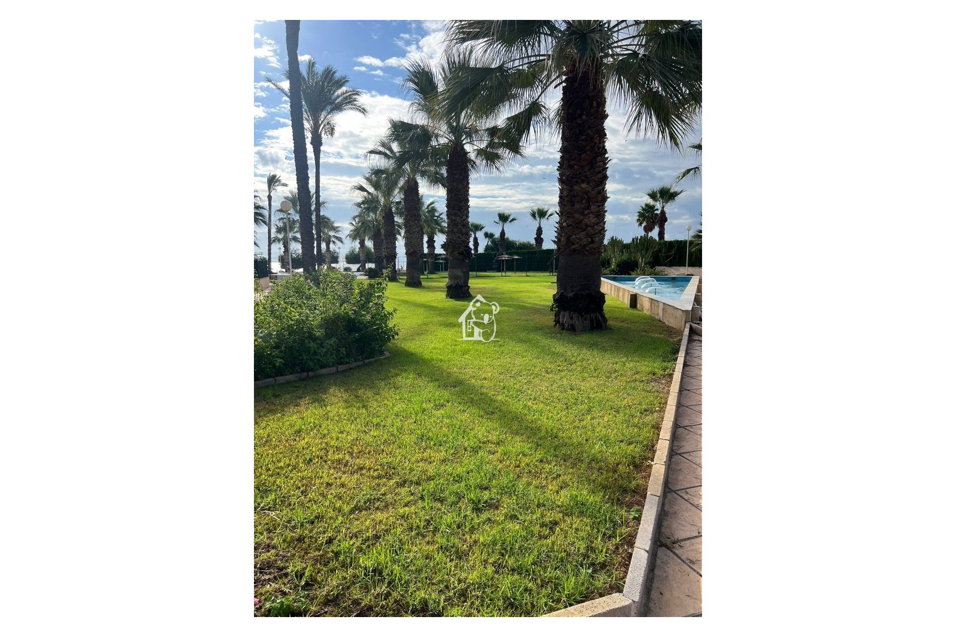 Арендовать - Квартира / квартира - Orihuela Costa - Dehesa de campoamor