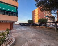 Арендовать - Квартира / квартира - Orihuela Costa - Punta Prima