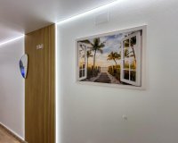 Арендовать - Квартира / квартира - Torrevieja - Centro