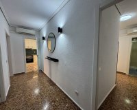 Арендовать - Квартира / квартира - Torrevieja - Centro