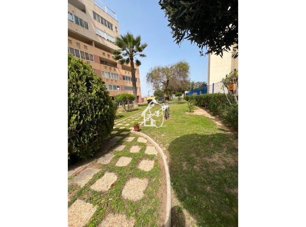 Арендовать - Квартира / квартира - Torrevieja - El Acequión - Los Náufragos
