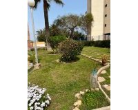 Арендовать - Квартира / квартира - Torrevieja - El Acequión - Los Náufragos