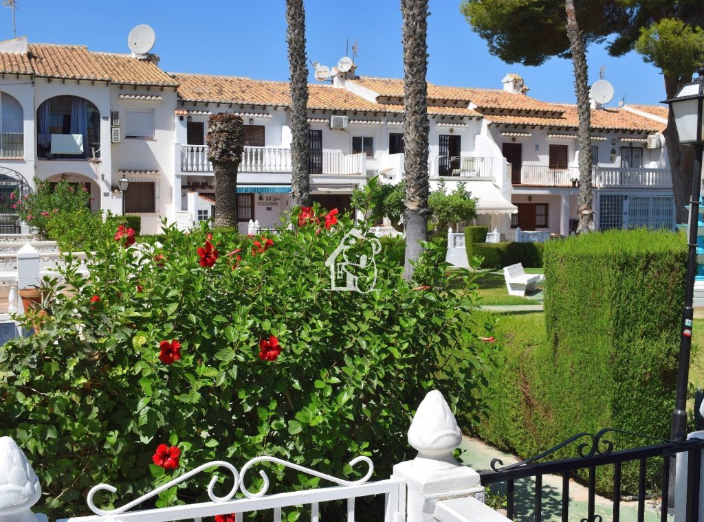 Арендовать - Квартира / квартира - Torrevieja - Los Balcones - Los Altos del Edén