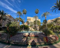 Арендовать - Квартира / квартира - Torrevieja - Playa de los Locos