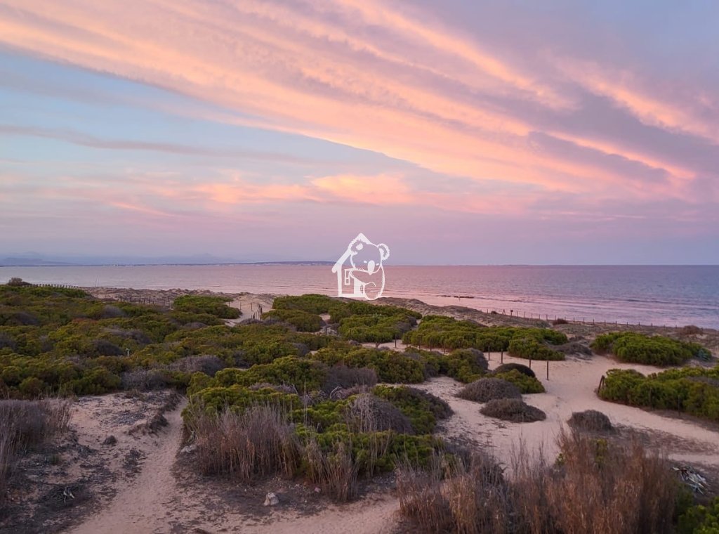 Арендовать - Квартира / квартира - Torrevieja - Torrelamata - La Mata