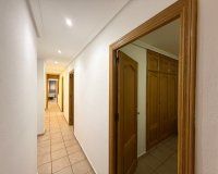 Арендовать - Квартира / квартира - Torrevieja - Torrevieja Centro