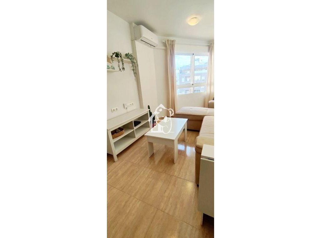 Арендовать - Квартира / квартира - Torrevieja - Torrevieja Centro