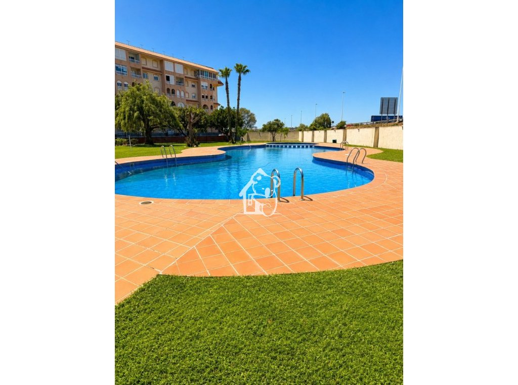 Арендовать - Квартира / квартира - Torrevieja - Torrevieja Centro
