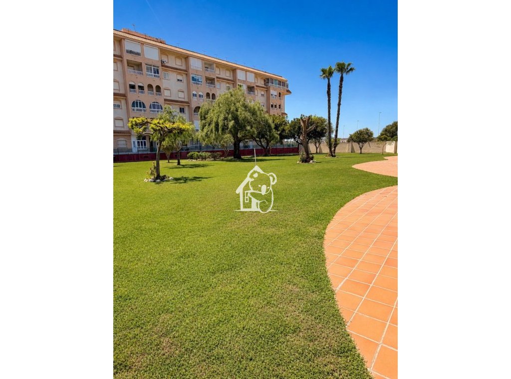 Арендовать - Квартира / квартира - Torrevieja - Torrevieja Centro