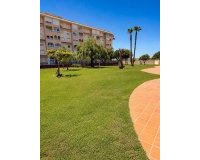 Арендовать - Квартира / квартира - Torrevieja - Torrevieja Centro