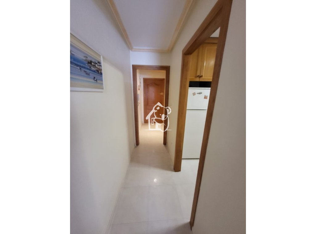 Арендовать - Квартира / квартира - Torrevieja - Torrevieja Centro