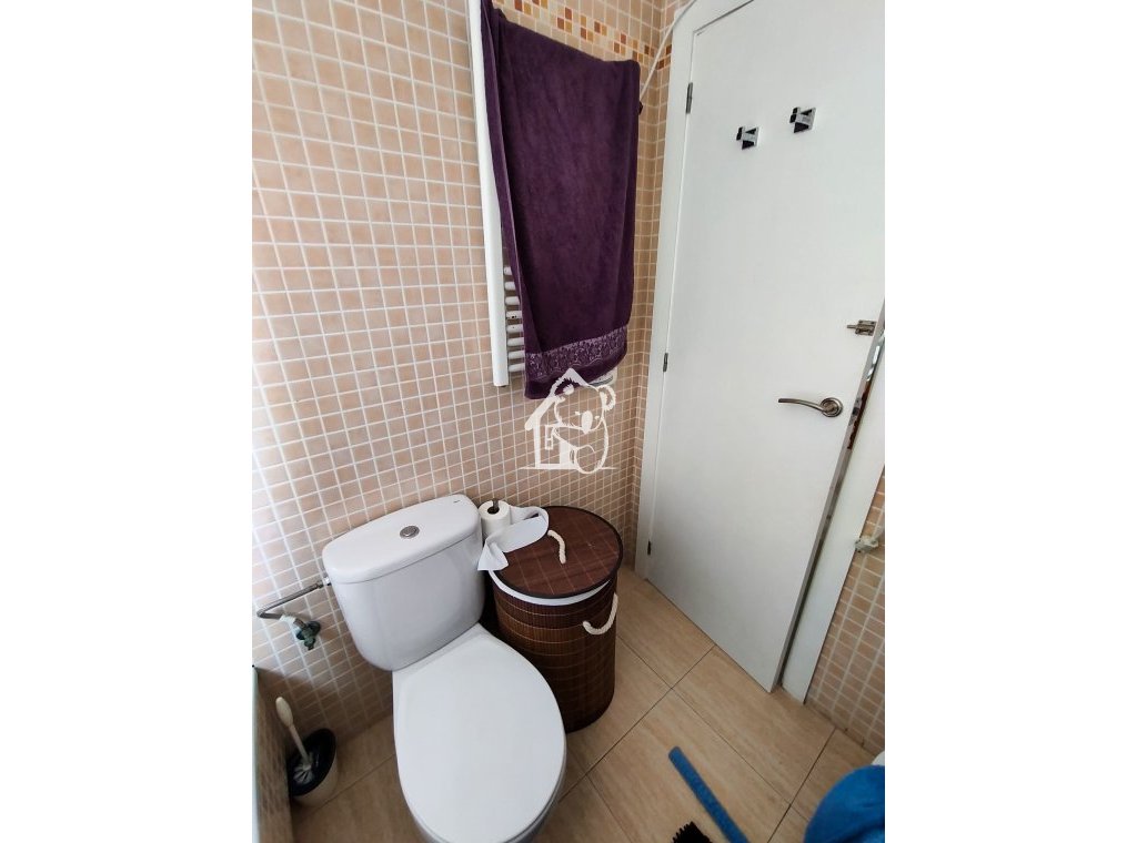 Арендовать - Квартира / квартира - Torrevieja - Torrevieja Centro