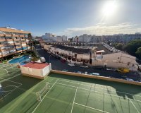 Арендовать - Квартира / квартира - Torrevieja - Torrevieja Centro