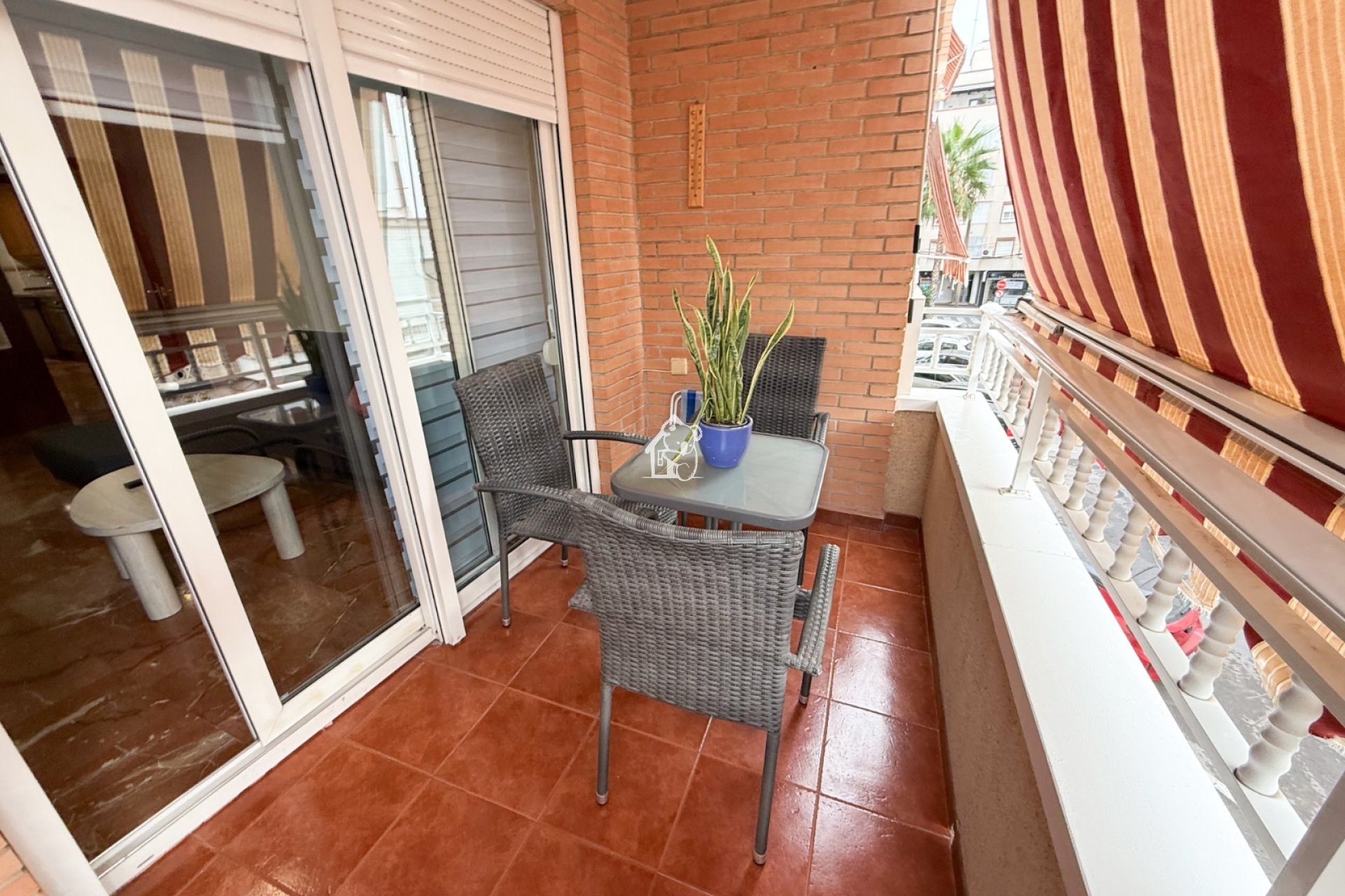 Арендовать - Квартира / квартира - Torrevieja - Torrevieja Centro