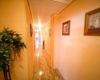 Арендовать - Квартира / квартира - Torrevieja