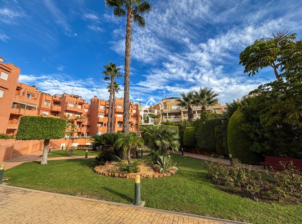 Арендовать - Пентхаус - Orihuela Costa