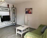 Арендовать - Таунхаус - Torrevieja - Torrevieja Centro