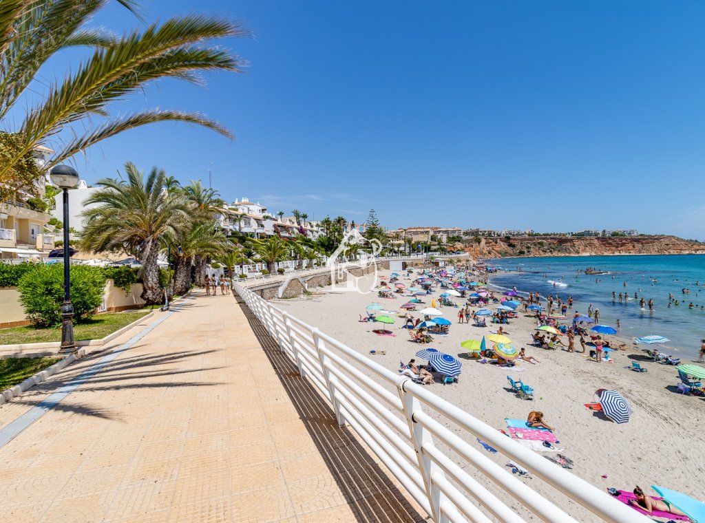 Арендовать - Villa - Orihuela Costa - Cabo roig - La Zenia