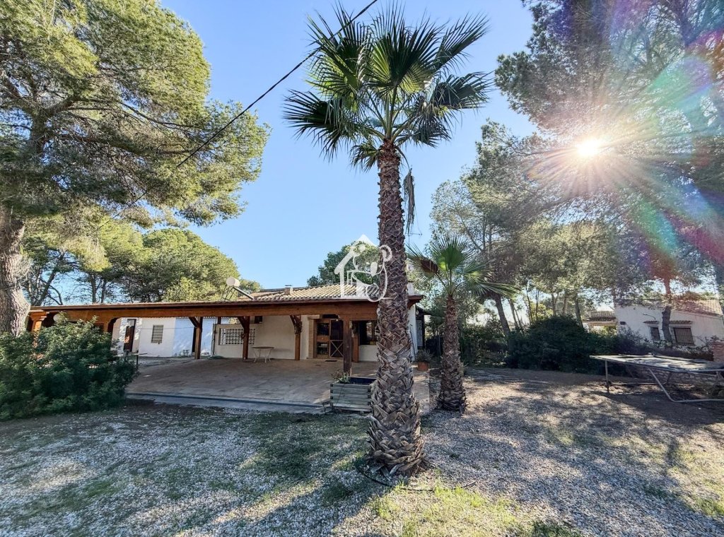 Арендовать - Villa - Pilar de la Horadada - Pinar de Campoverde