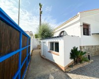 Арендовать - Villa - Torrevieja - La Siesta - El Salado -  Torreta