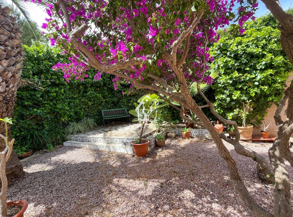 Арендовать - Villa - Torrevieja - Los Balcones - Los Altos del Edén