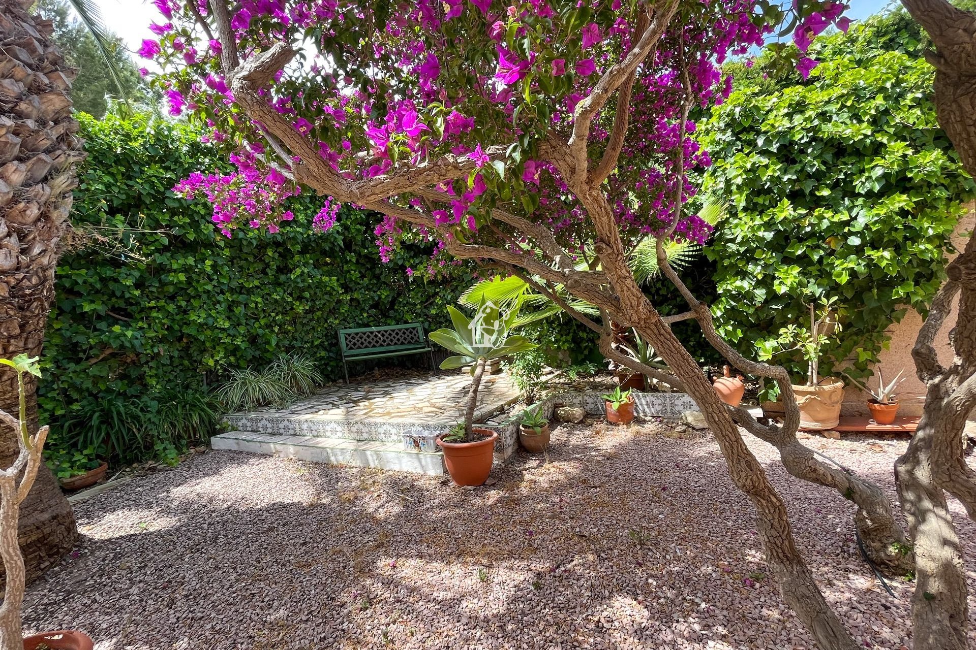 Арендовать - Villa - Torrevieja - Los Balcones - Los Altos del Edén