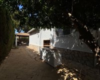 Арендовать - Villa - Torrevieja - Torrevieja Centro