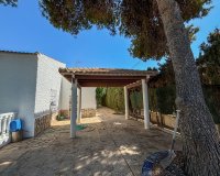 Арендовать - Villa - Torrevieja - Torrevieja Centro