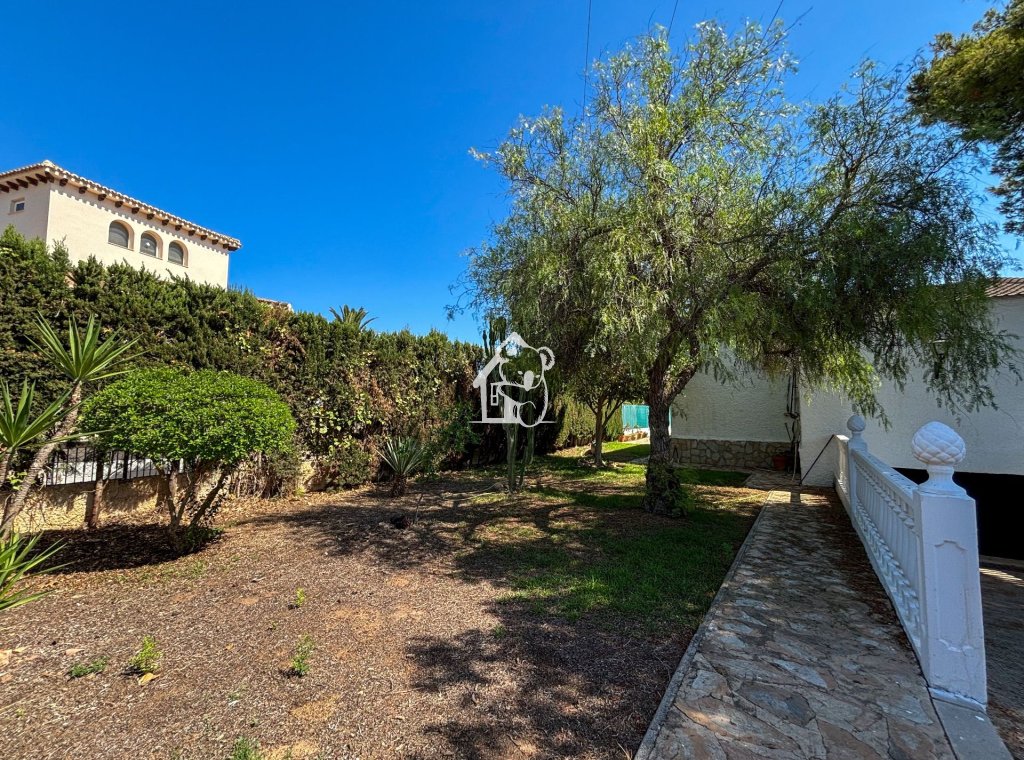 Арендовать - Villa - Torrevieja - Torrevieja Centro