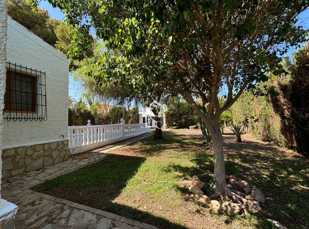 Арендовать - Villa - Torrevieja - Torrevieja Centro