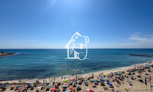 Attique - Location - Torrevieja - Playa de los Locos