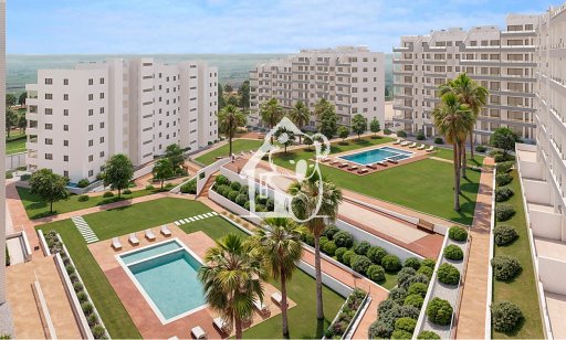 Attique - Nouvelle construction - San Miguel de Salinas - San Miguel de Salinas