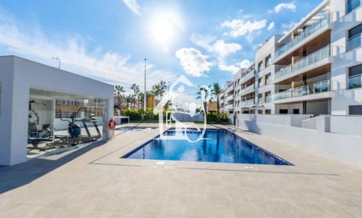 Attique - Nouvelle construction - Torrevieja - Torrevieja