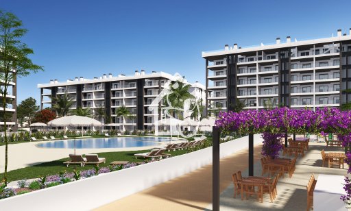 Attique - Nouvelle construction - Torrevieja - Torrevieja