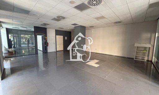 Commercial - Rental - Pilar de la Horadada - Pilar de la Horadada