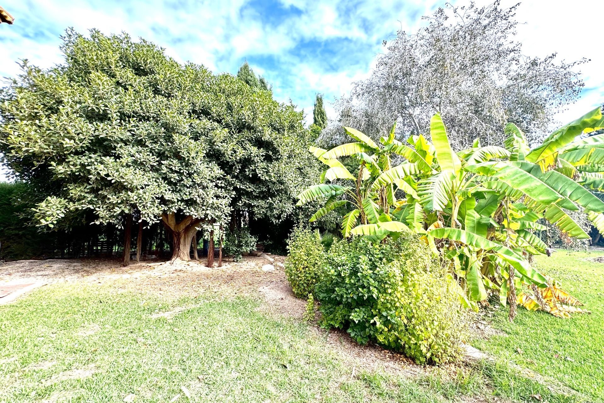 Herverkoop - Villa - Daya Nueva