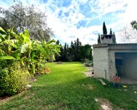 Herverkoop - Villa - Daya Nueva