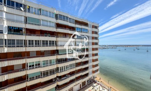 Квартира / квартира - Арендовать - Torrevieja - Torrevieja Centro
